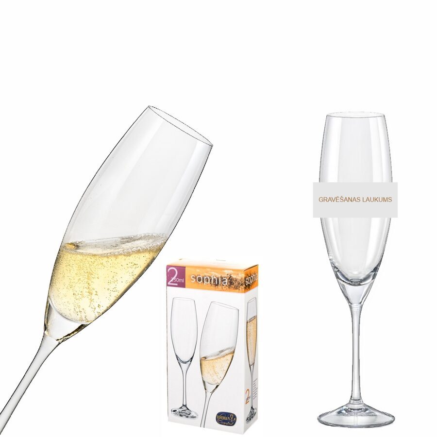 Šampanieša glāžu (2gab.) komplekts BK140184